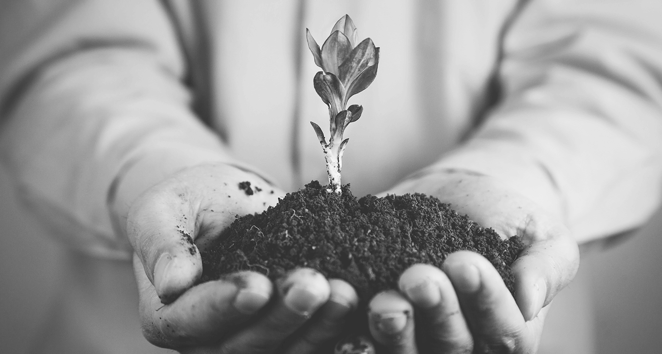Grow your business with Sunidhi